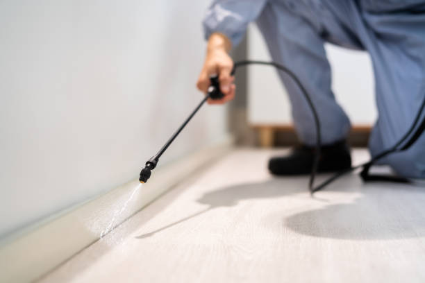 Licensed Pest Control service in Eunice, NM - Show Me Pest Control