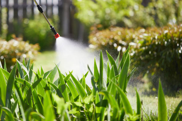 Tamper-Resistant Bait Stations for Rodents in Eunice